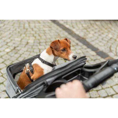 Thumbnail 15: TRIXIE Buggy