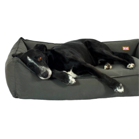 Bettenhaus Traumhund® Orthopädisches Hundebett - Sealand