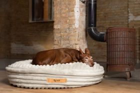 ammi® for Dogs Gr. M 80 x 100 cm / Creme