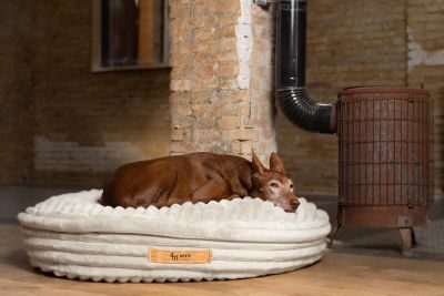 ammi® for Dogs Gr. M 80 x 100 cm / Creme