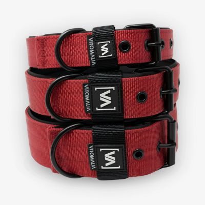 Thumbnail 6: Vitomalia VitomaliaKlassisches Hundehalsband mit abstehender Innenfütterung - Nero Bordeaux
