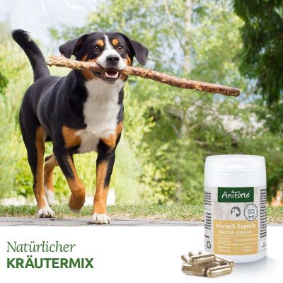 AniForte WermiX Kapseln für Hunde