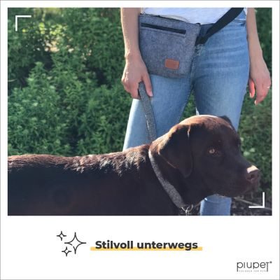 Thumbnail 8: PIUPET Leckerlibeutel für Hunde I Mit Magnetverschluss I Futterbeutel Hundetraining in Filz-Optik I Hochwertig & Stilvoll I Snackbeutel Hund