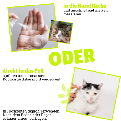 Thumbnail 1: BeG Buddy Zeckenmittel Katze, Zeckenschutz Katzen & Kitten, Zecke Katze, Zeckenabwehr auf pflanzlicher Basis, 30 ml