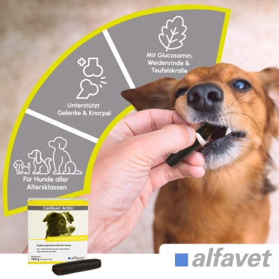 Thumbnail 5: alfavet CaniGum Artrin Riegel 6 x 28 g