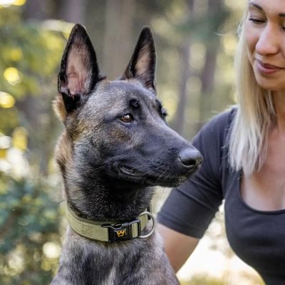 Thumbnail 4: Rudelkönig Hundehalsband Bella gepolstert, Robustes Hunde Halsband