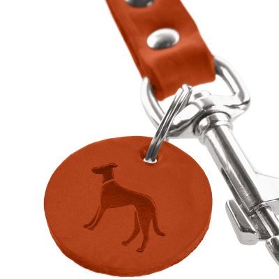Thumbnail 2: HUNTER Führleine 20/100, orange