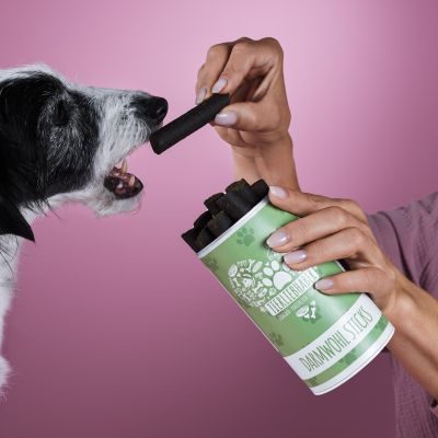 Thumbnail 4: Tierliebhaber Darmwohl Sticks für Hunde - Natürlicher Darmaufbau. Für schöne, feste Häufchen. Bei akutem Durchfall