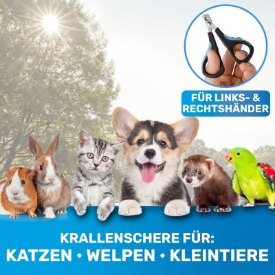 Thumbnail 5: BluePet Krallenschere Mini für Katzen, Welpen, kleine Hunde, Kaninchen & Kleintiere, kleiner Krallenschneider, Nagelschere, Krallenpflege