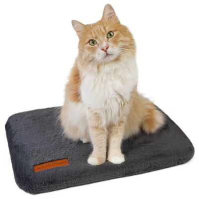 Thumbnail 7: SCHLITZOHR Fensterbankliege Teddy (grau)