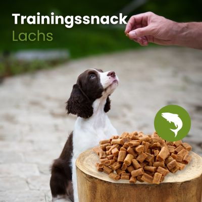 Thumbnail 3: kauartikel.com Lachs-Sticks-Trainingssnack - Hunde-Snack - Trainings-Snack - Fisch-Leckerli