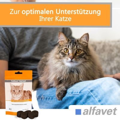 Thumbnail 5: alfavet FeliGum Hairball 40 g
