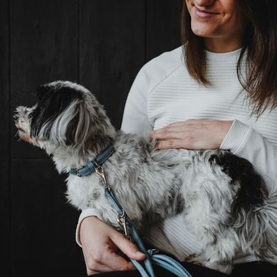 Thumbnail 9: HUNTER Halsband Soho Mini XXS-XS (27), hellblau