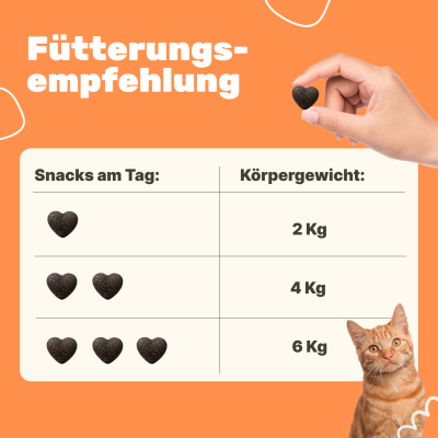 Thumbnail 5: Patsli Funktionaler Katzensnack zur Unterstützung der Harnwege und Blasengesundheit – entwickelt für den täglichen Bedarf