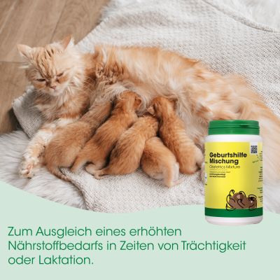 Thumbnail 4: cdVet Geburtshilfe-Mischung 400 g – Natürliche Ergänzungsfütterung für tragende Hündinnen & Katzen