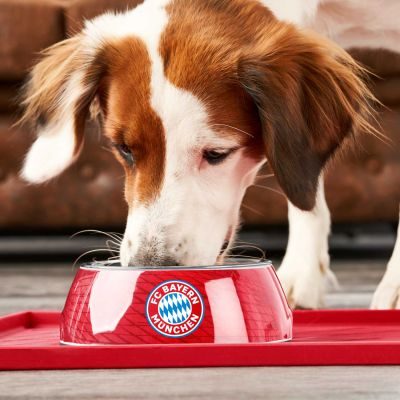 Thumbnail 4: HUNTER Melamin-Napf FC Bayern München 700 ml, rot