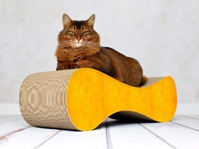 Bild 1 von 1: cat-on LE VER M Design Kratzmöbel, dunkelgelb (004e)