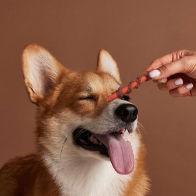 Thumbnail 5: Sollis Ente & Rote Beete Sticks