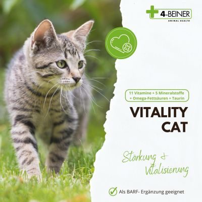 Thumbnail 2: 4-Beiner PetVet - 4-BEINER VITALITY-CAT - Nahrungsergänzung - Futterergänzung für Katzen
