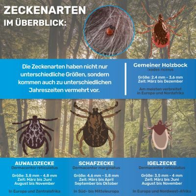 Thumbnail 3: BluePet 10-teiliges Set Zeckenentferner in Tasche: Zeckenzange, Zeckenhebel, Zeckenpinzette, Zeckenkarte für Hund, Katze, Pferd & Mensch zur Zeckenentfernung