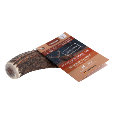 Thumbnail 2: Chewies® Chewies® Rothirsch-Geweihstange