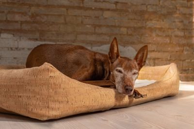 Thumbnail 6: ammi® for Dogs Korkhundebett Nubo orthopädisch