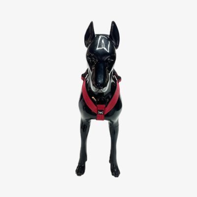 Thumbnail 5: Vitomalia VitomaliaKlassisches Y-Hundegeschirr mit abstehender Innenfütterung - Nero Bordeaux