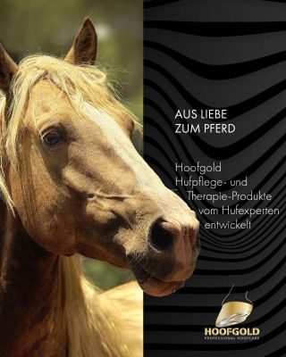 Thumbnail 4: Hoofgold HCE Hufreinigungs-Emulsion für Pferde - Ideal zur täglichen Reinigung & Pflege der Hufe - 250 ml