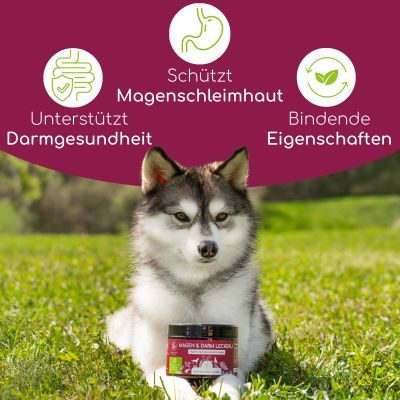 Thumbnail 4: Wolfsbacher Natur Magen & Darm Snacks für Hunde