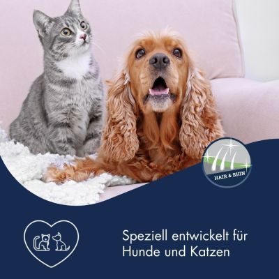 Thumbnail 2: Dr.Clauder’s Dr.Clauder´s B.A.R.F. Lachsöl traditionell 500ml